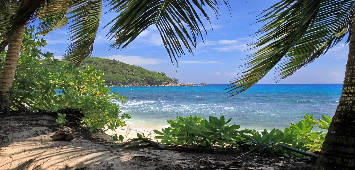 Palm-framed beach and turquoise bay