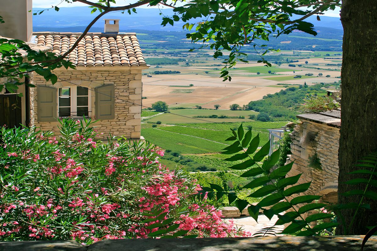 Pink blooms and a valley wrapped in summer