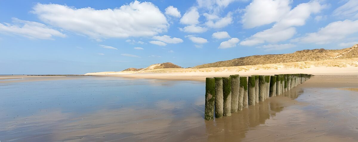 Weathered beach posts at low tide
