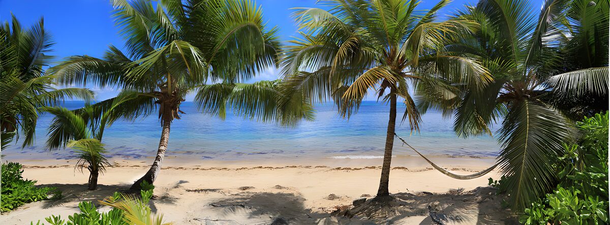 Palm-shaded beach with an empty hammock
