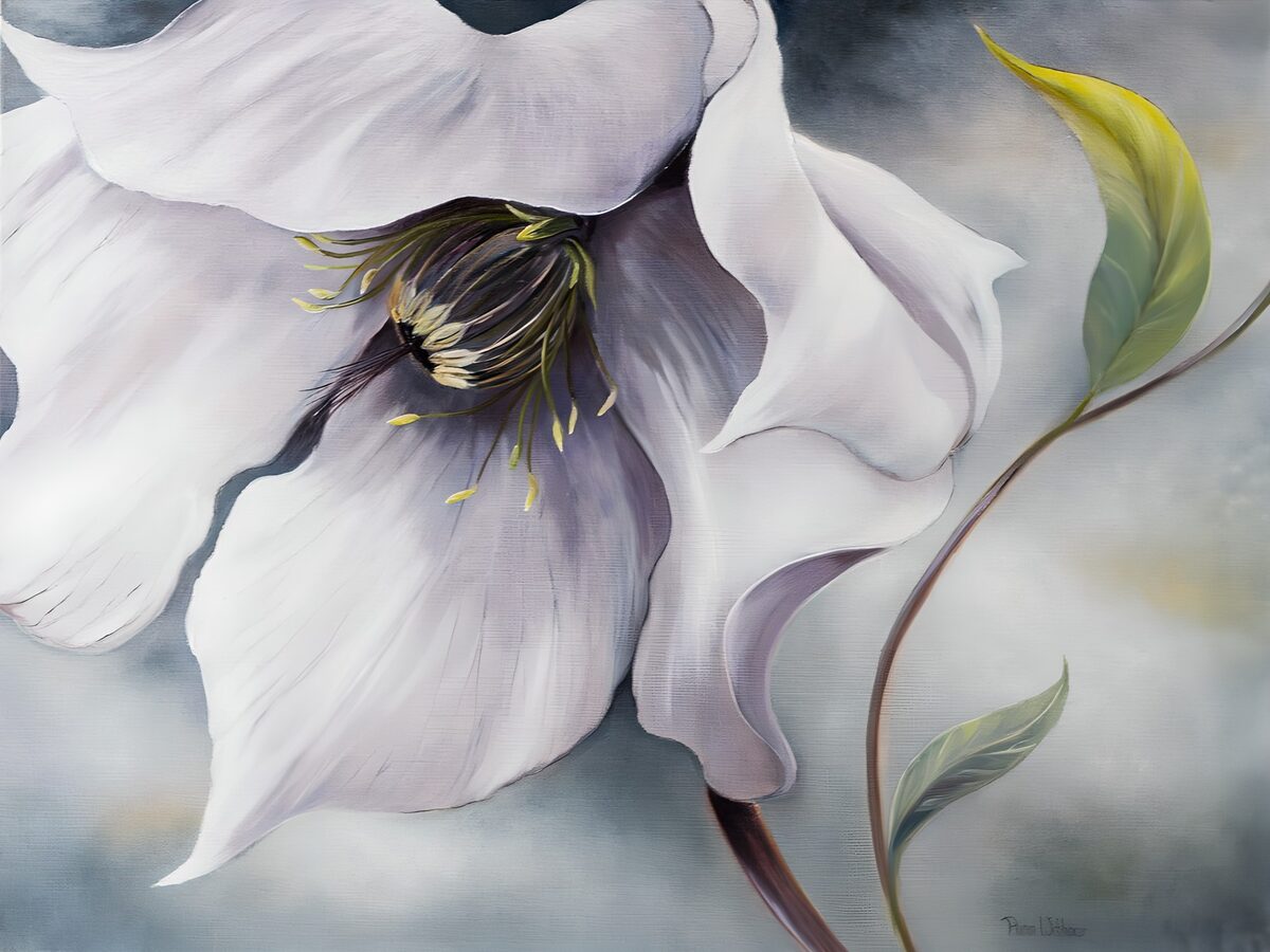 White flower in soft lavender shadow