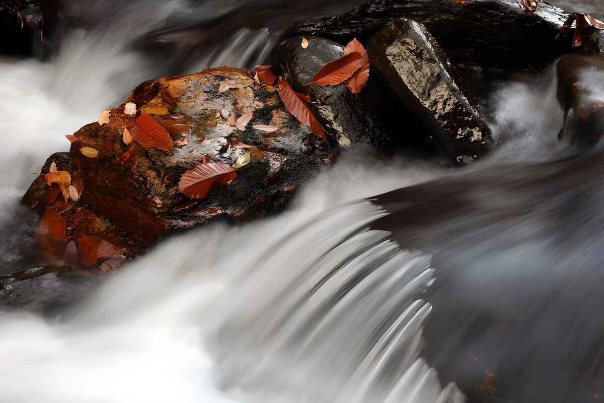 Autumn rapids around dark, wet rocks