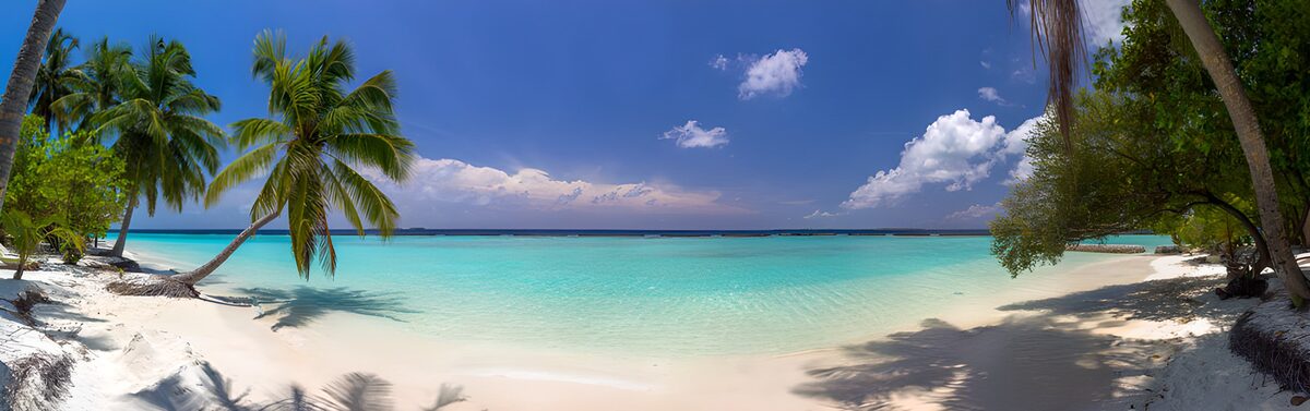 Sunlit beach with palms and turquoise water