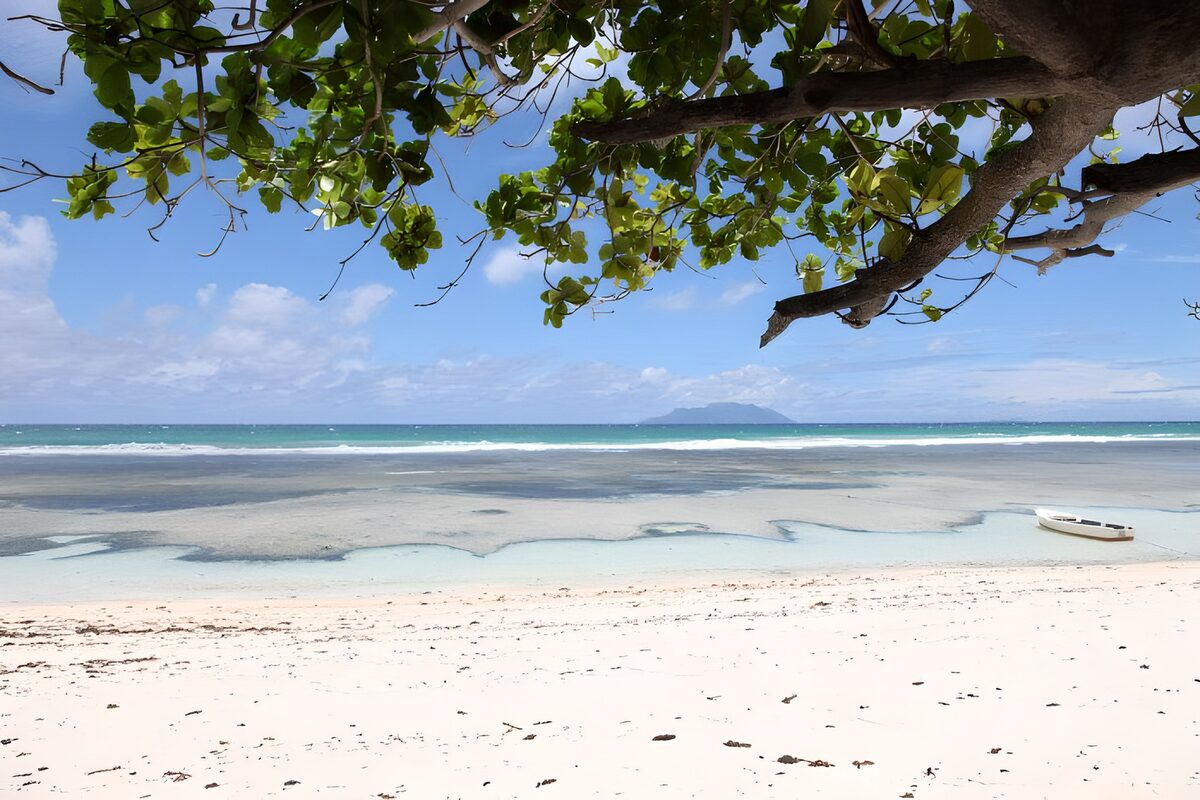 Tree-shaded beach and turquoise shallows