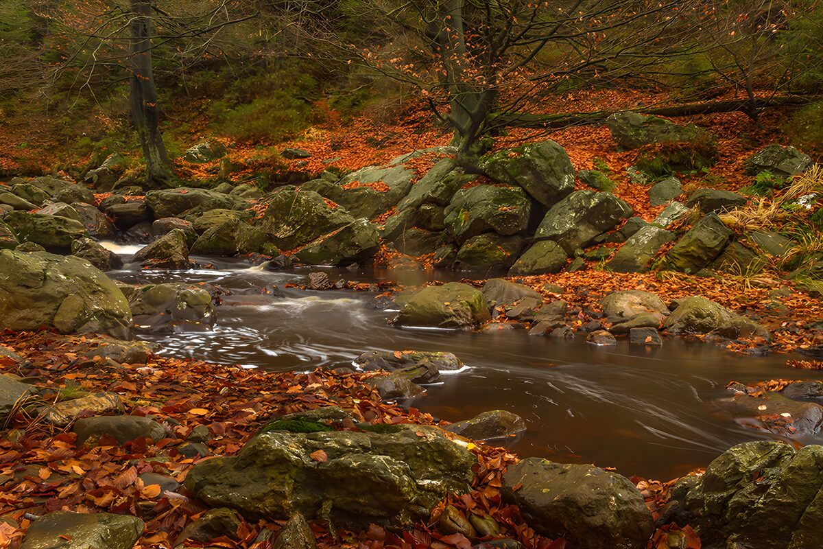 Quiet autumn stream among mossy rocks