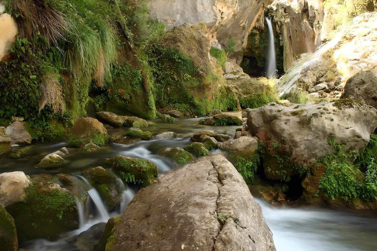 Waterfall and stream in a mossy gorge