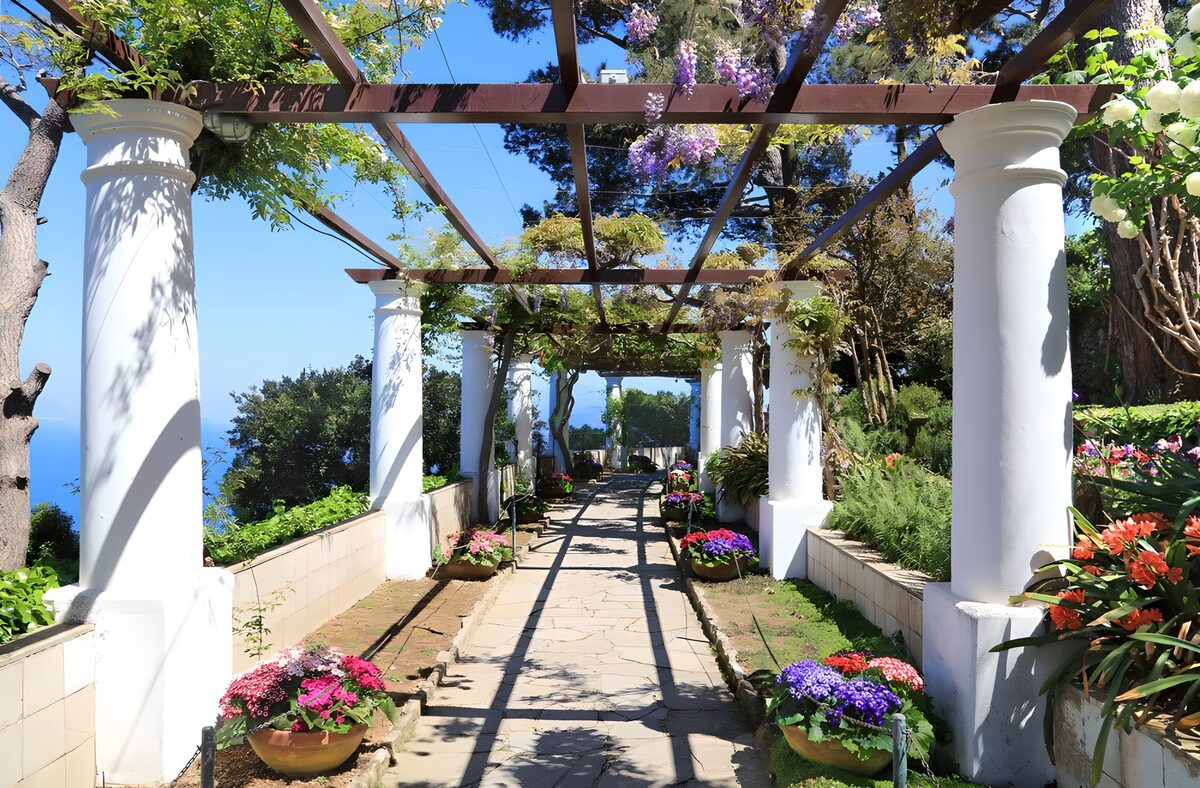 Sunlit pergola with white columns