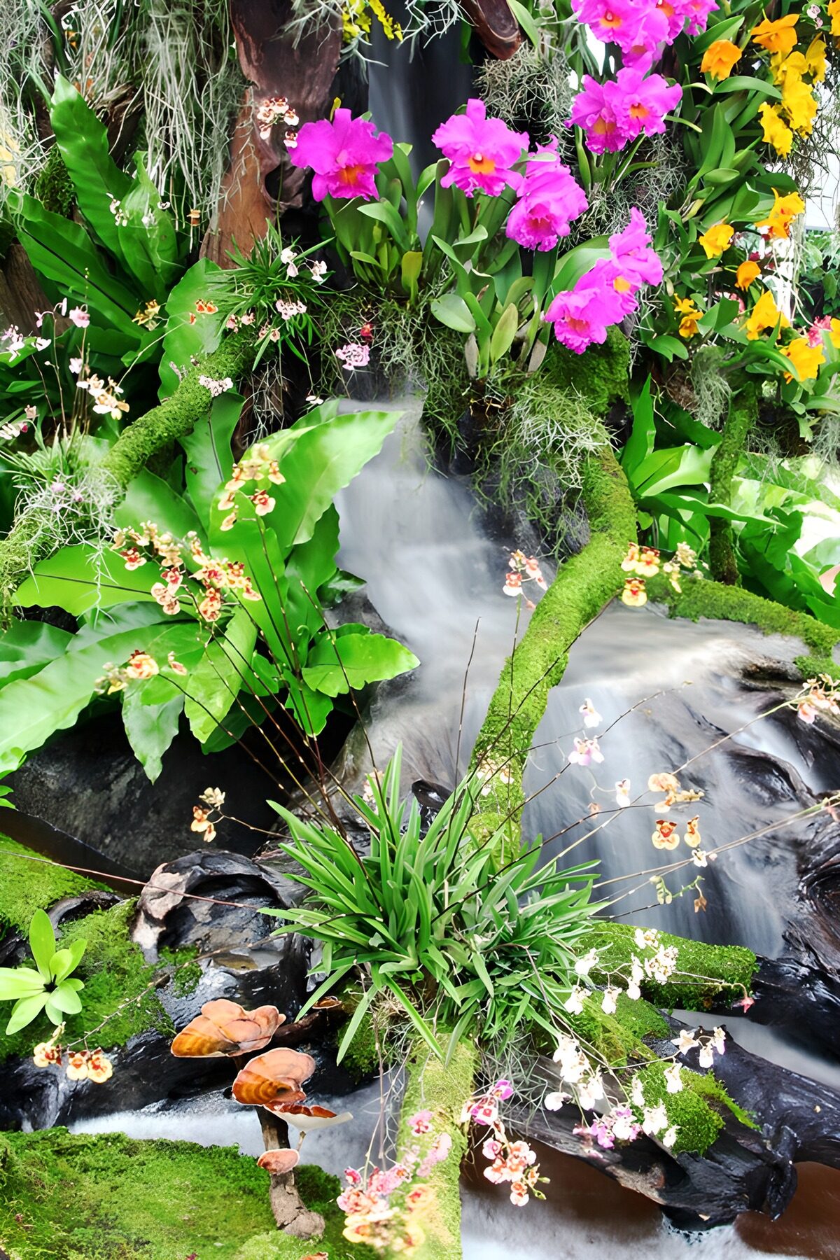 Orchids beside a lush waterfall
