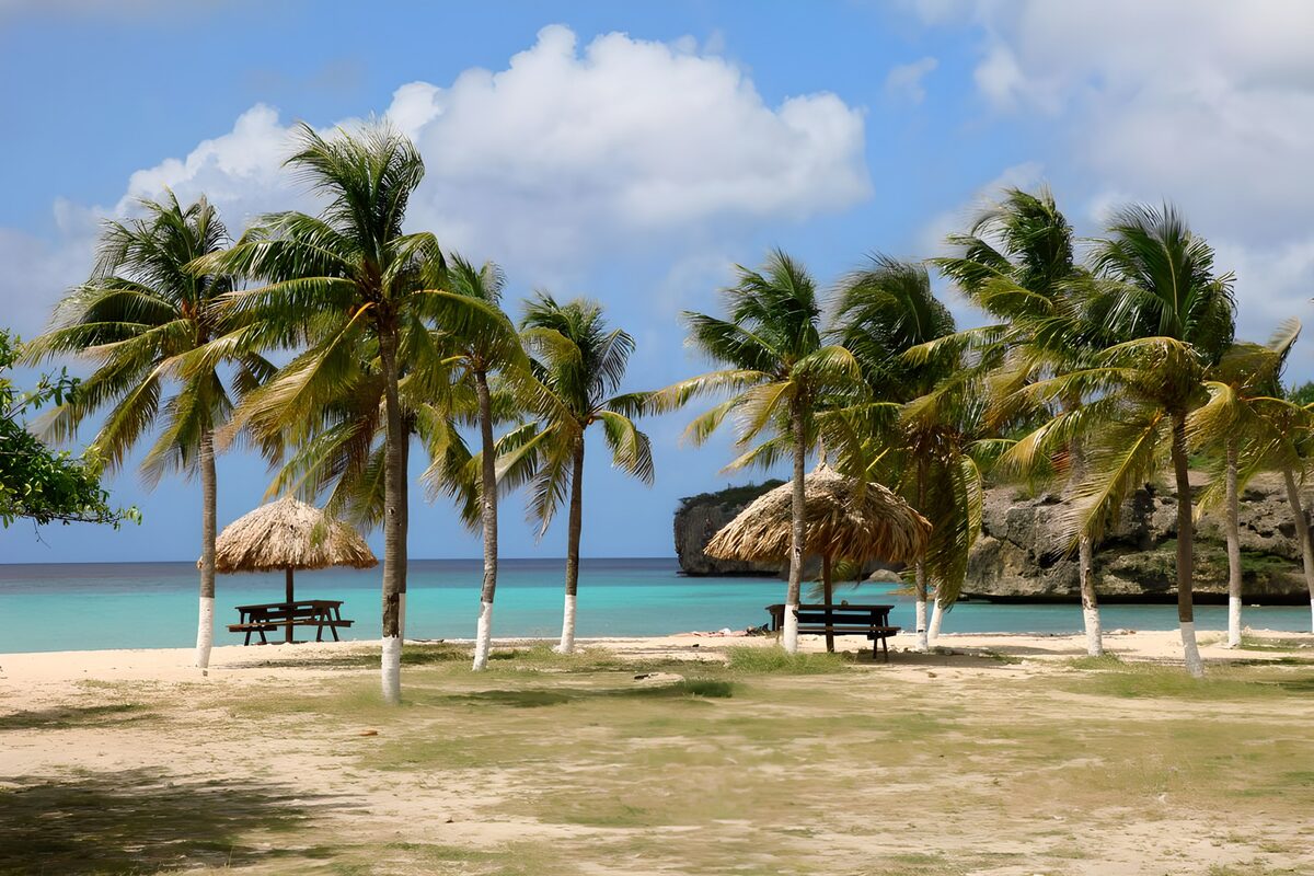 Palm-lined beach in the sunshine
