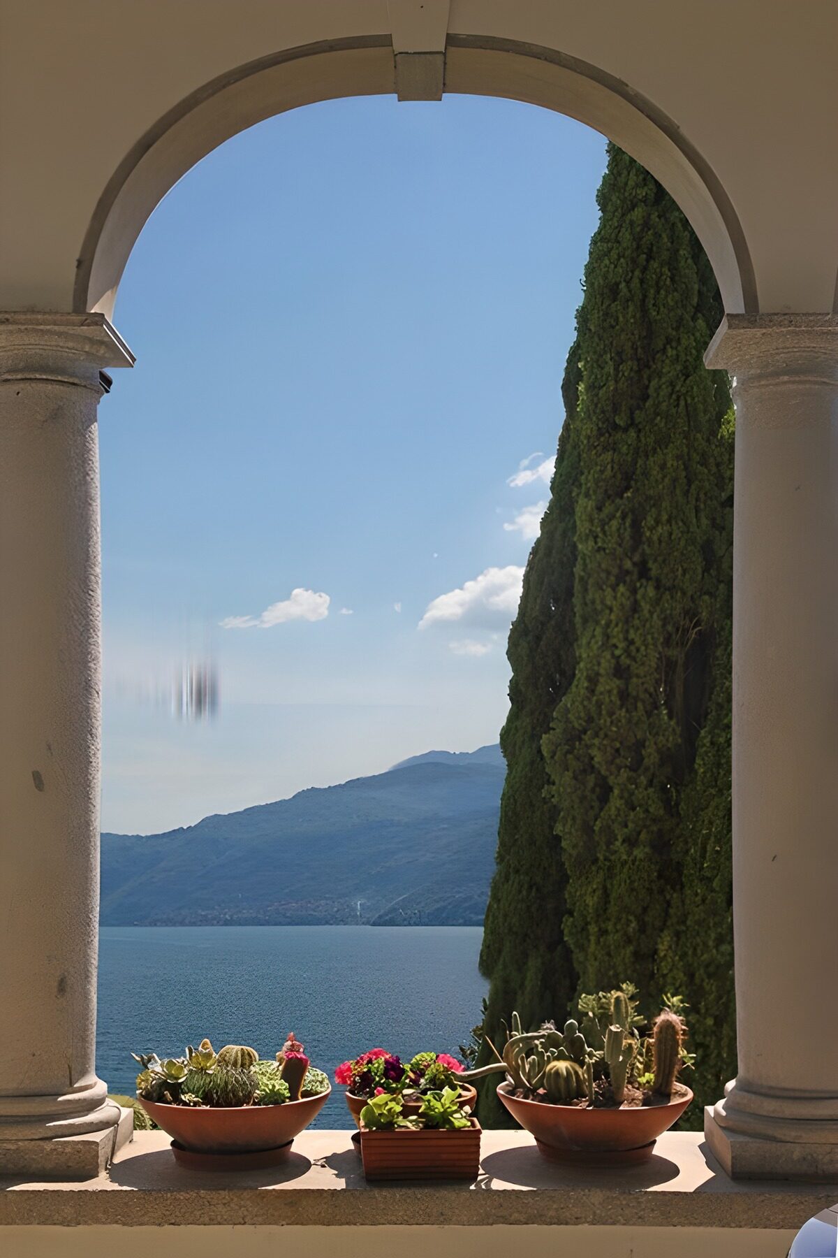 Cacti and a quiet view through the arch