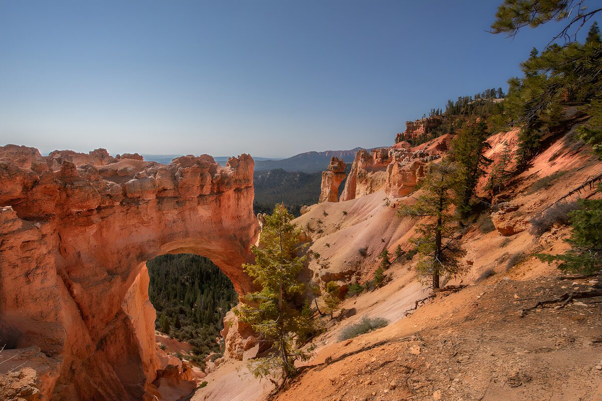 Sunlit red rock arch above the forest