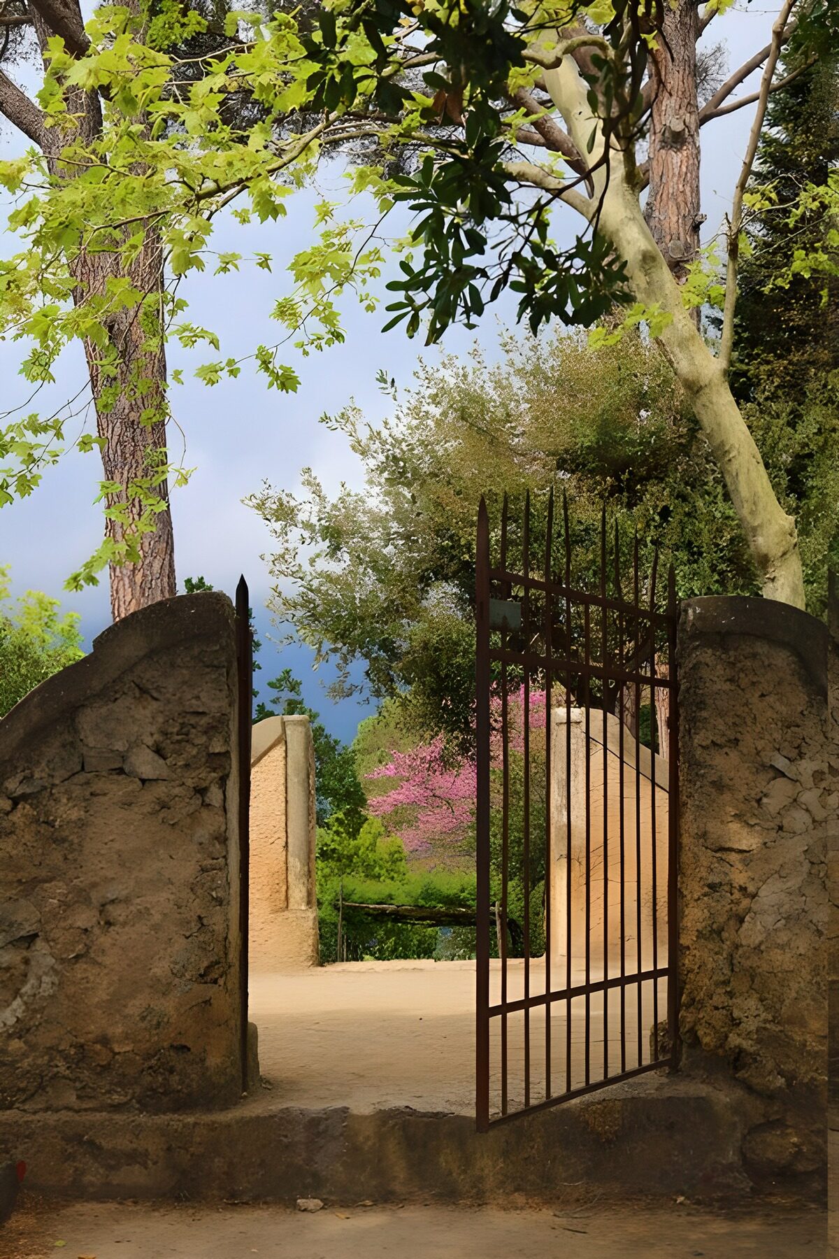 Open garden gate in spring sunlight
