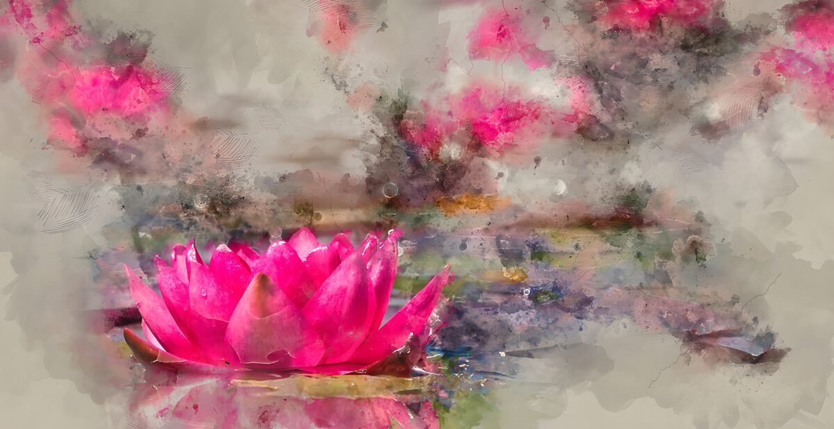 Pink water lily on a hazy pond