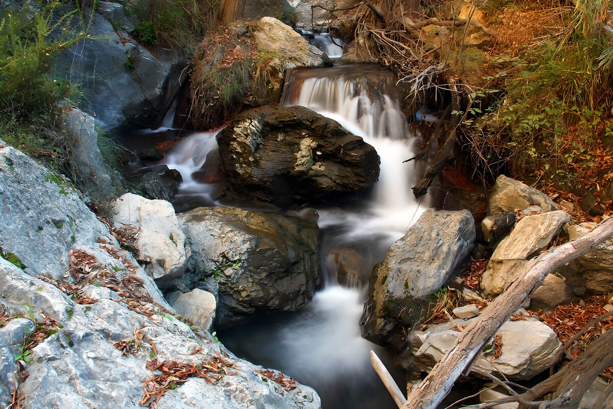 Woodland waterfall in the shade
