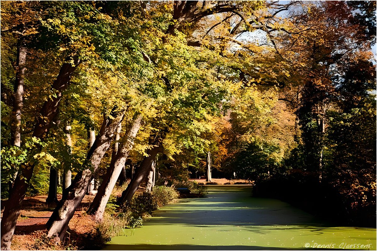 Autumn trees beside green water