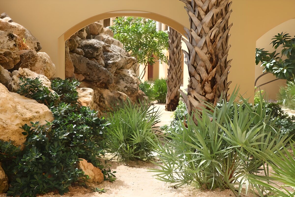 Sunlit palms and ochre courtyard arches