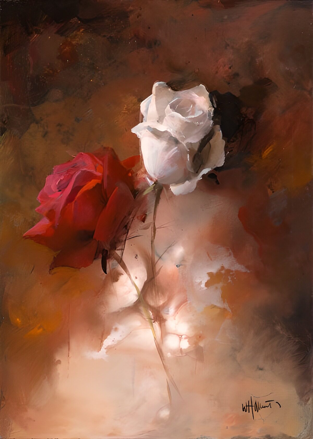 Red and white roses in warm tones