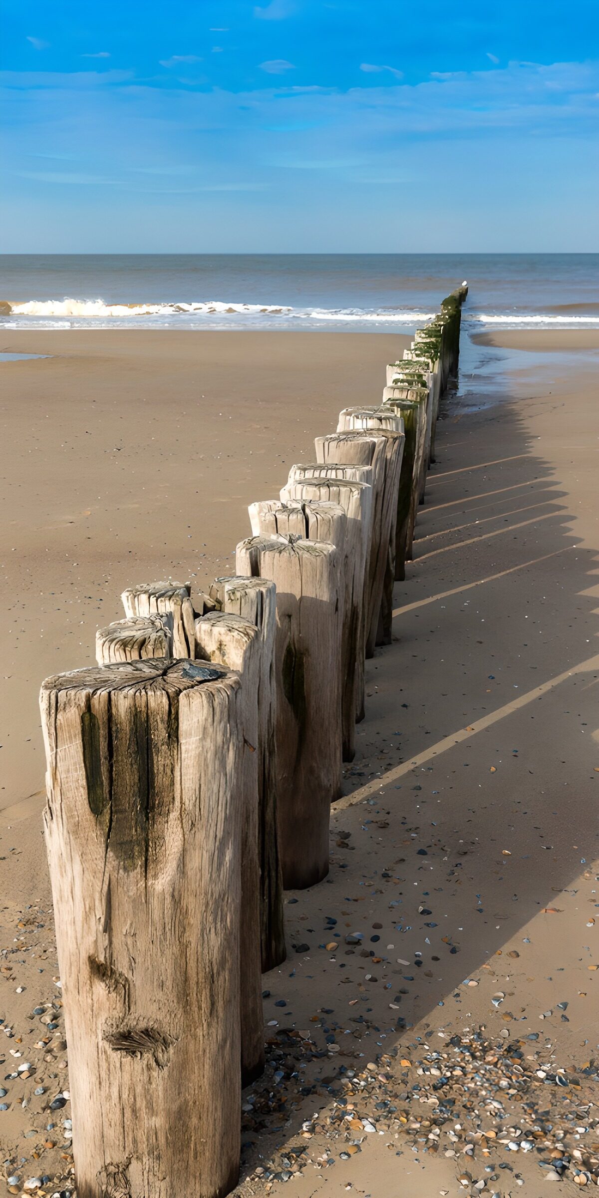 Weathered groyne posts in bright sunshine