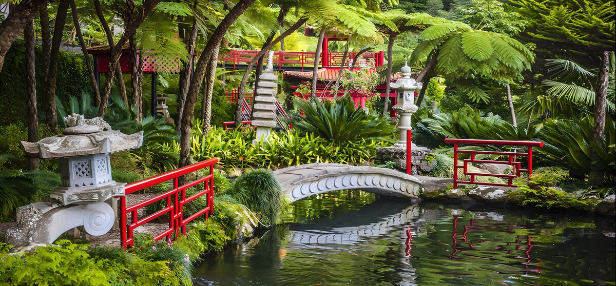 Japanese pond garden in leafy seclusion