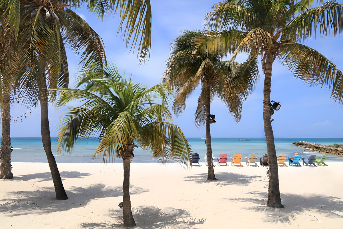 Palm trees and colourful beach chairs