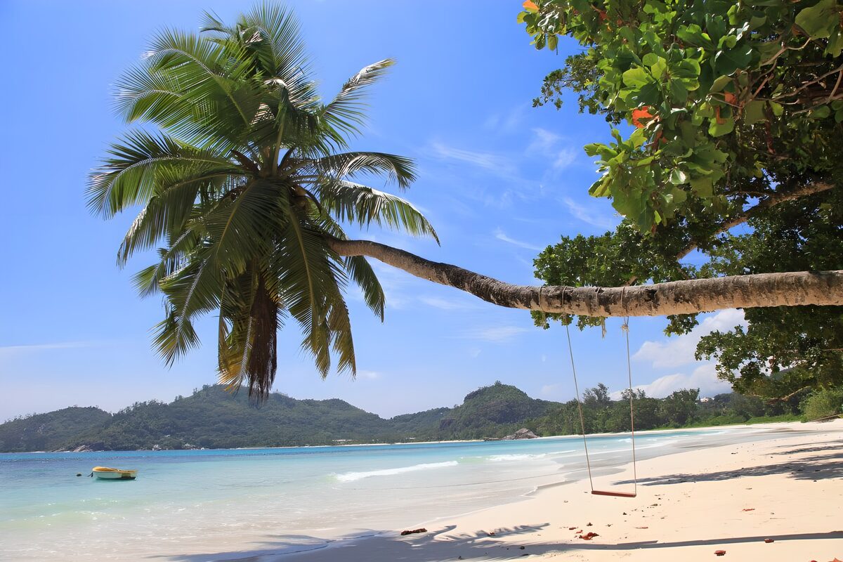 Palm swing above sunlit sand