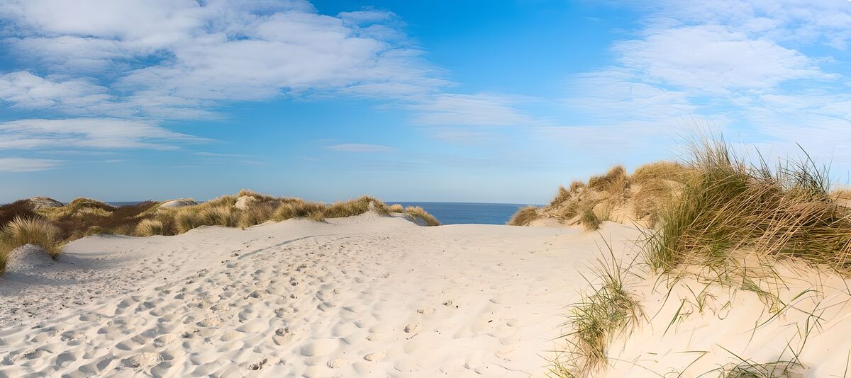 Sunlit dunes and a glimpse of blue sea