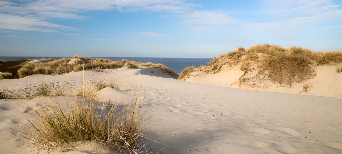 Sunlit sand dunes beside a calm sea