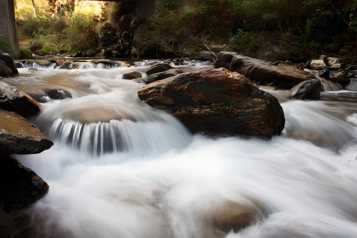 Silken water over woodland stones