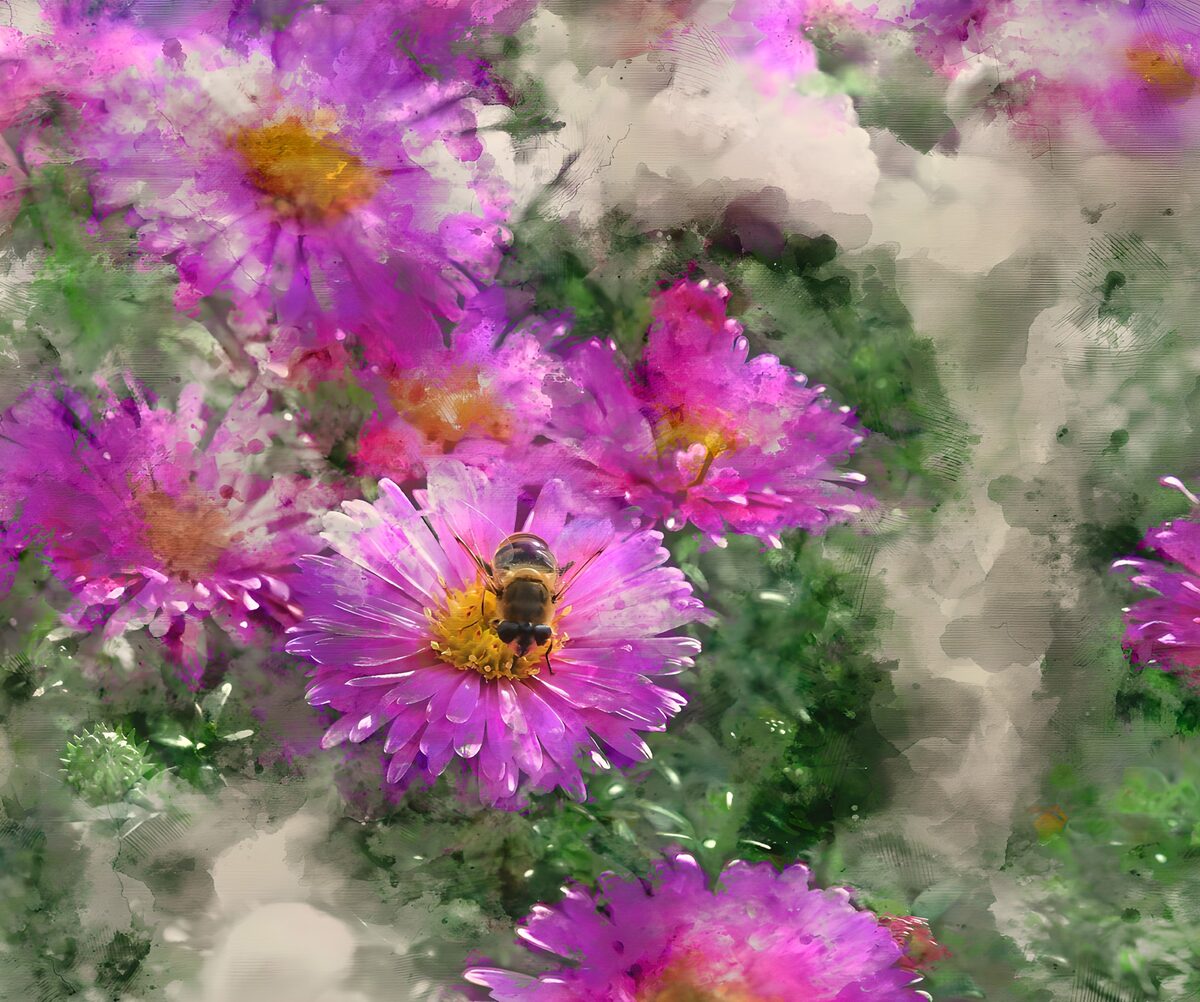 Pink and purple flowers in soft light