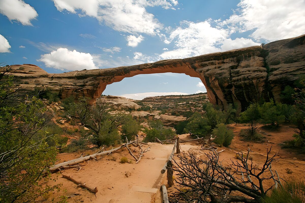 Sandstone arch above a sunlit trail
