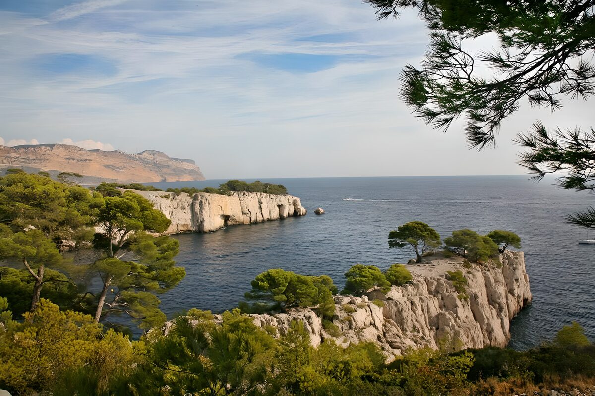 Sunlit cliffs above a pine-fringed bay