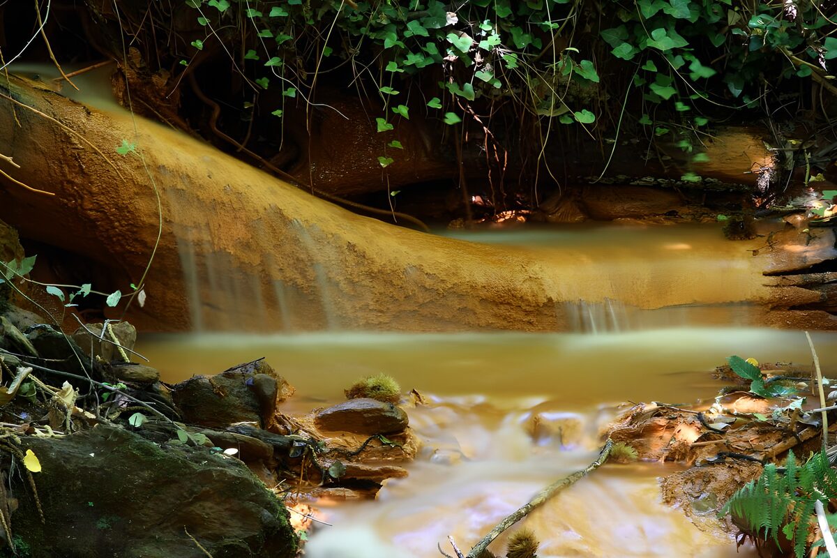 Woodland waterfall over ochre rock