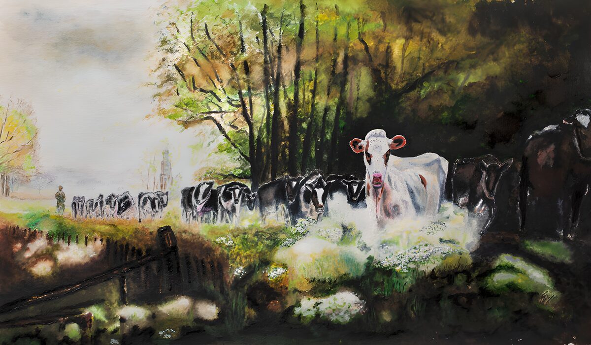 Cattle gathered in the woodland shade