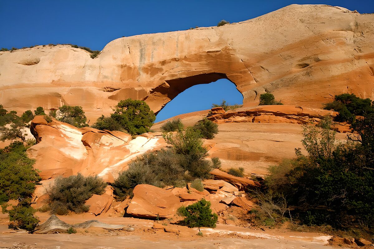 Sunlit sandstone arch and desert scrub