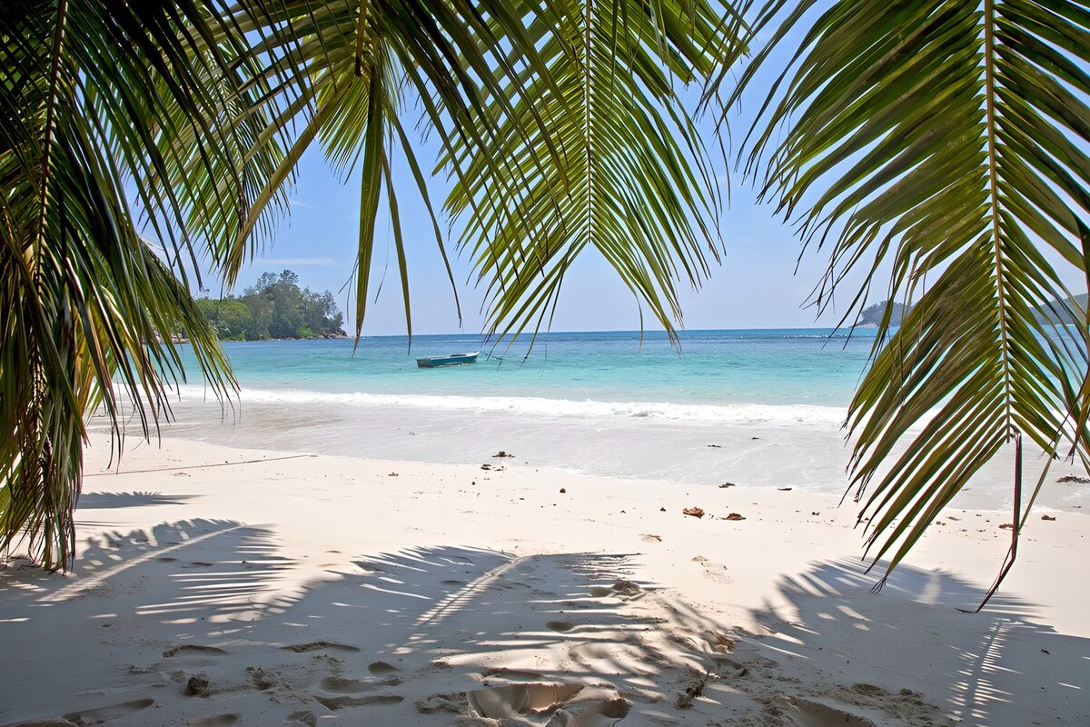 Palm-fringed beach with a blue boat