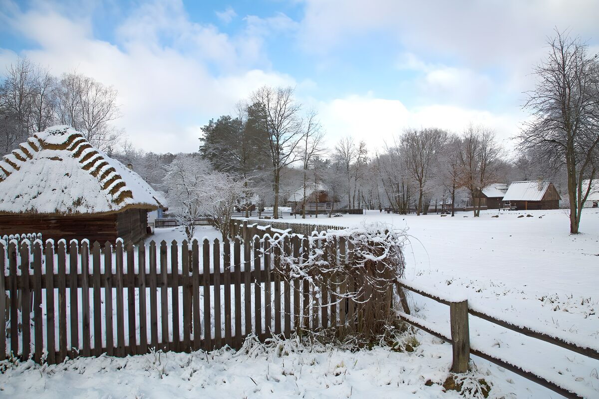 Snowy hut and fences in winter light