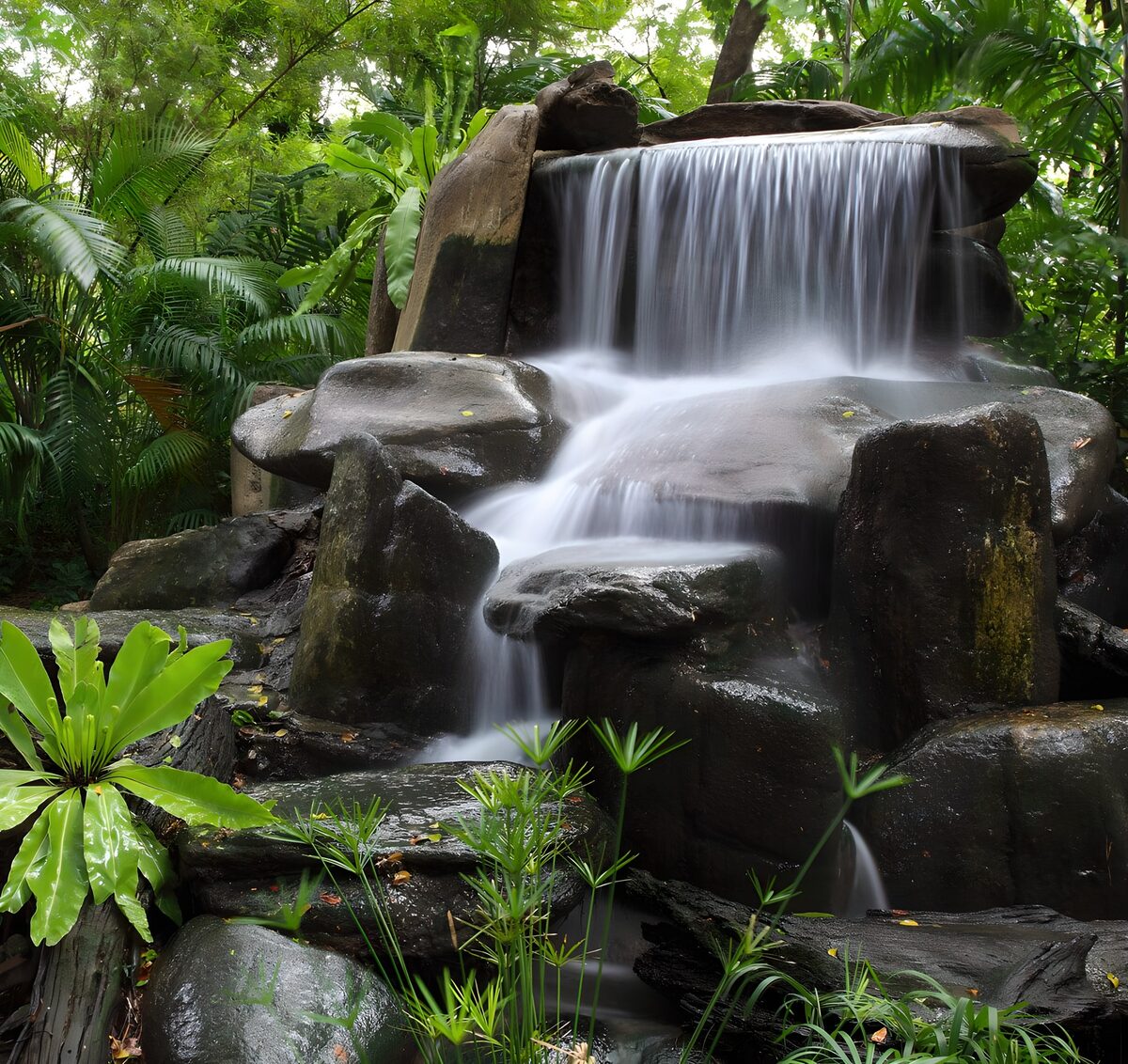 Tiered waterfall in lush green shade