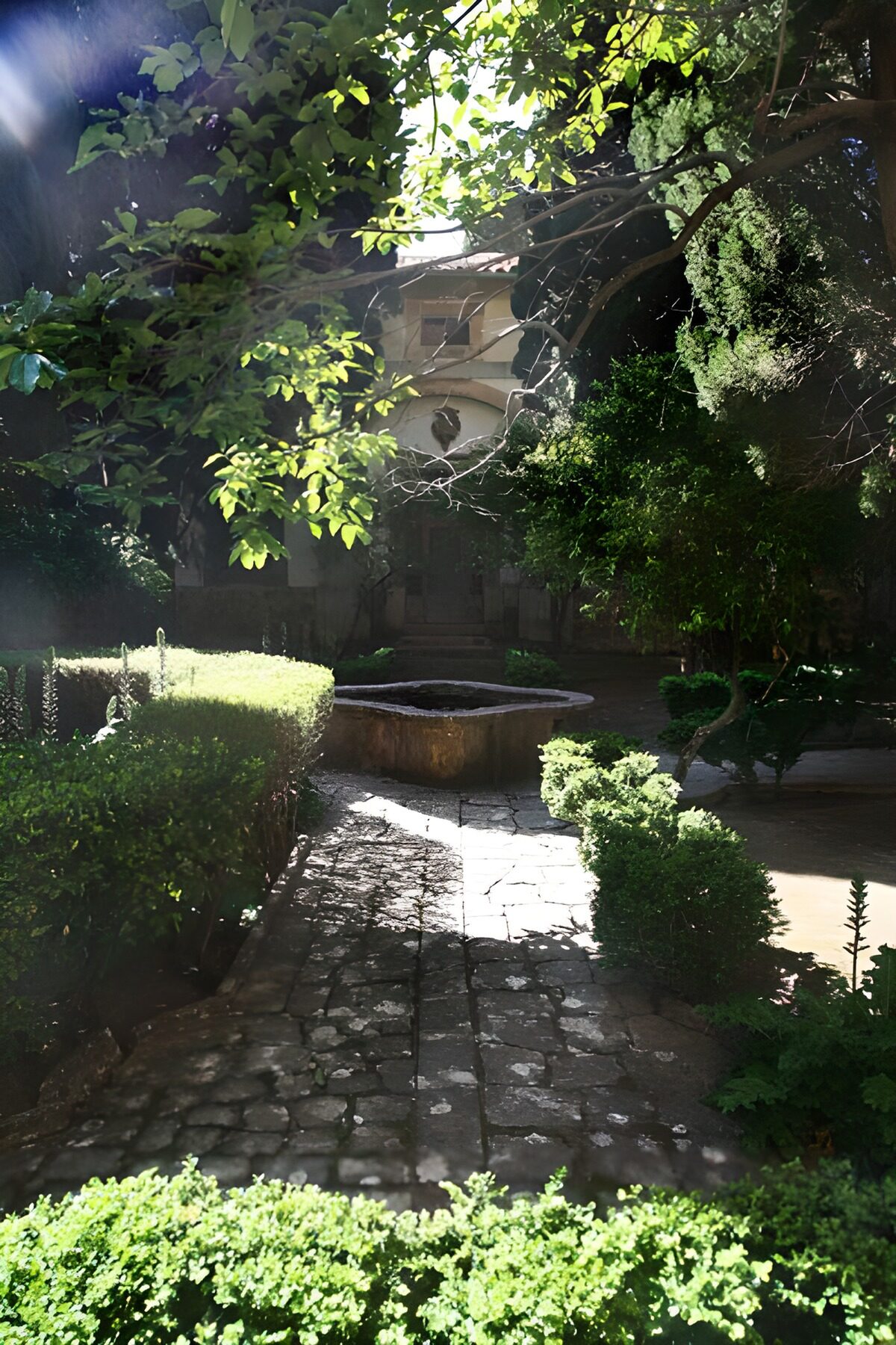 Leafy courtyard with a sunlit stone path