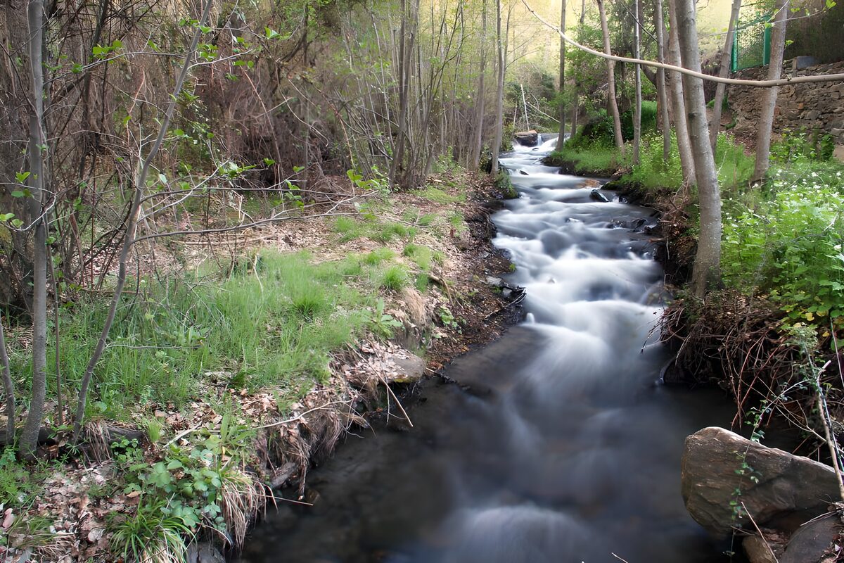 Spring stream cascading over dark rocks
