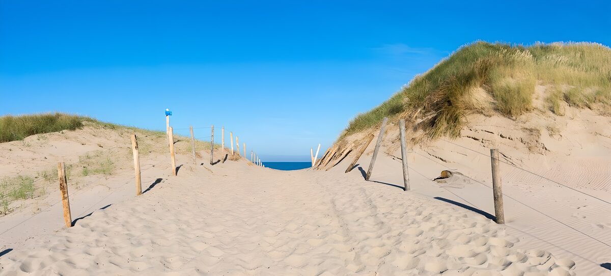 Sunlit sand path through the dunes