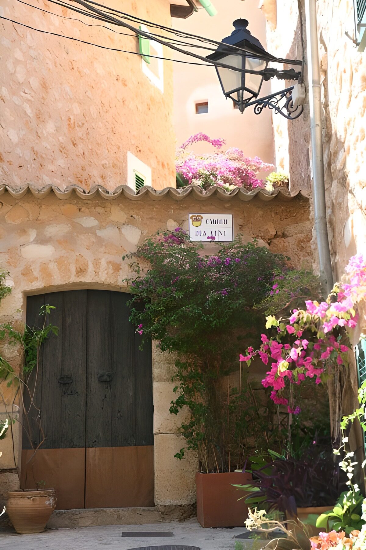 Sunlit alley with pink bougainvillea