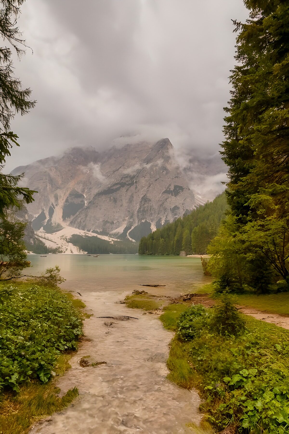 Mountain lake and forest in the mist