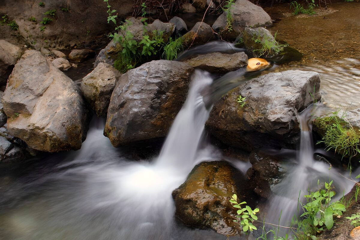 Rocky stream in the shade