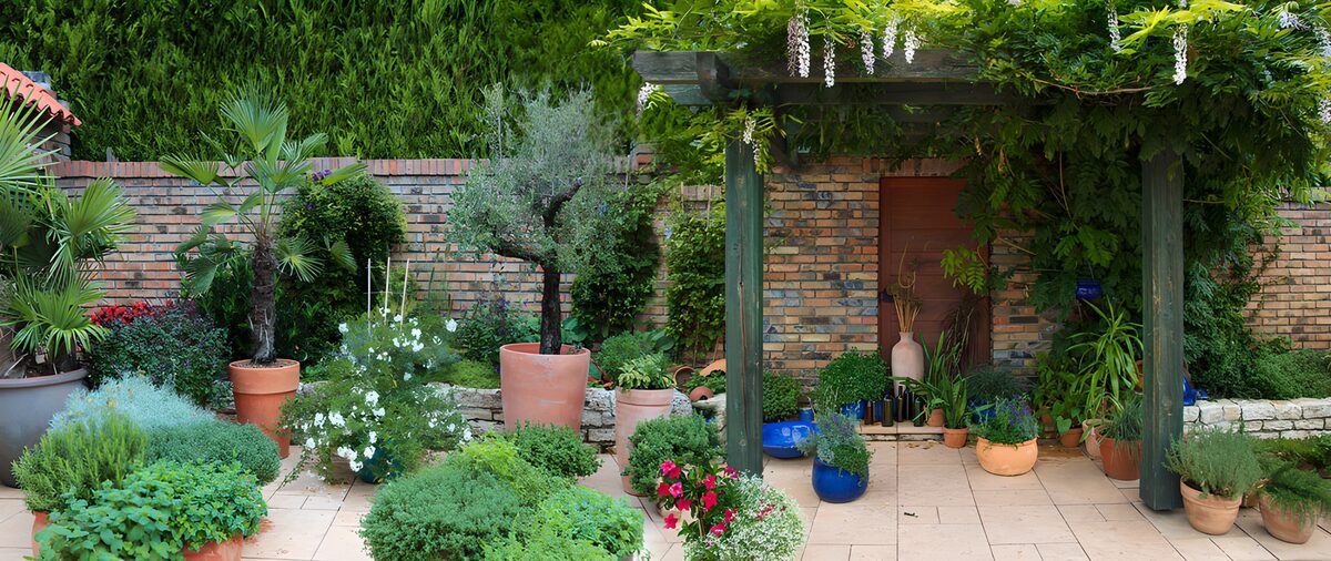 Lush courtyard with pots and a pergola
