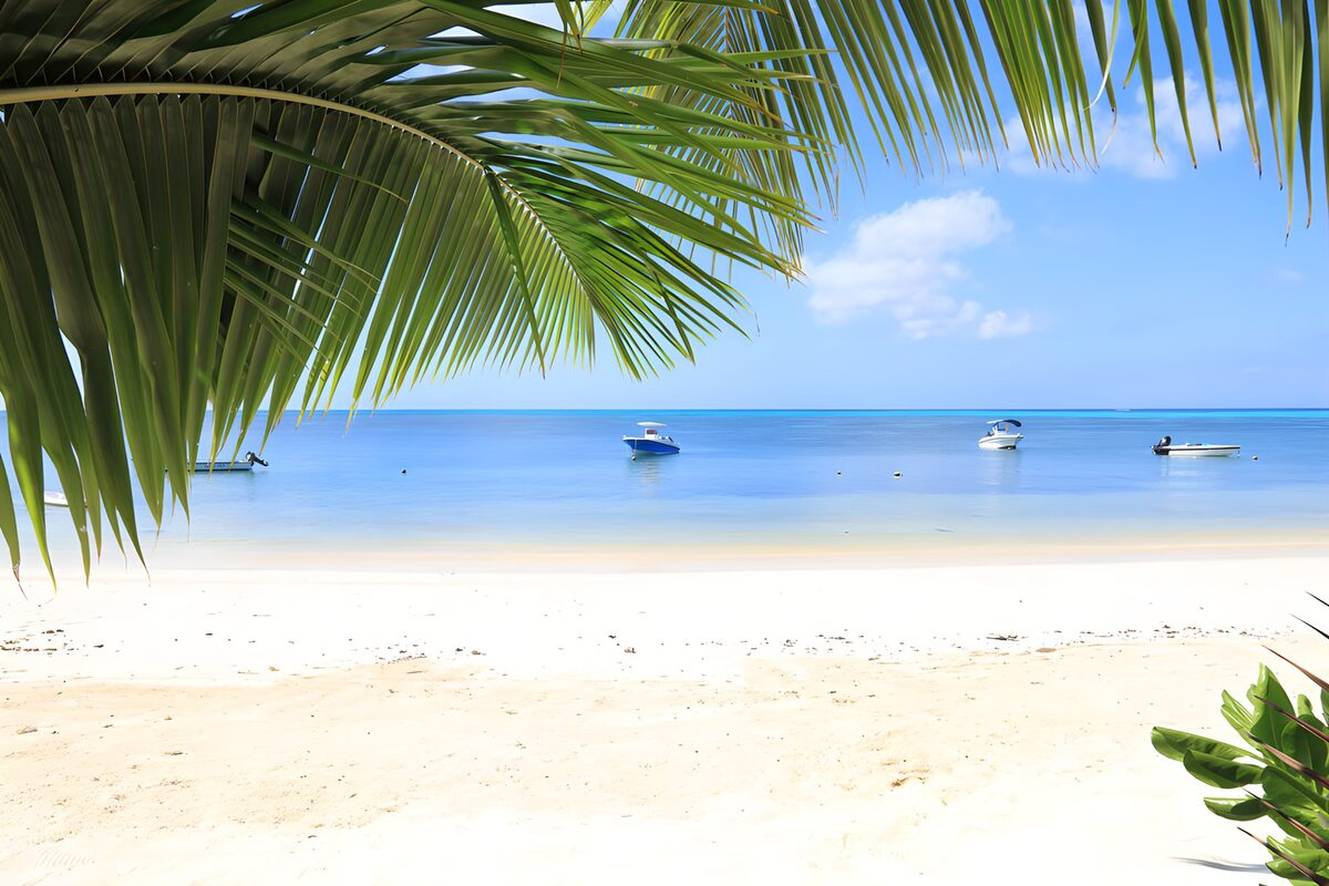 Boats off a sunlit, palm-fringed beach