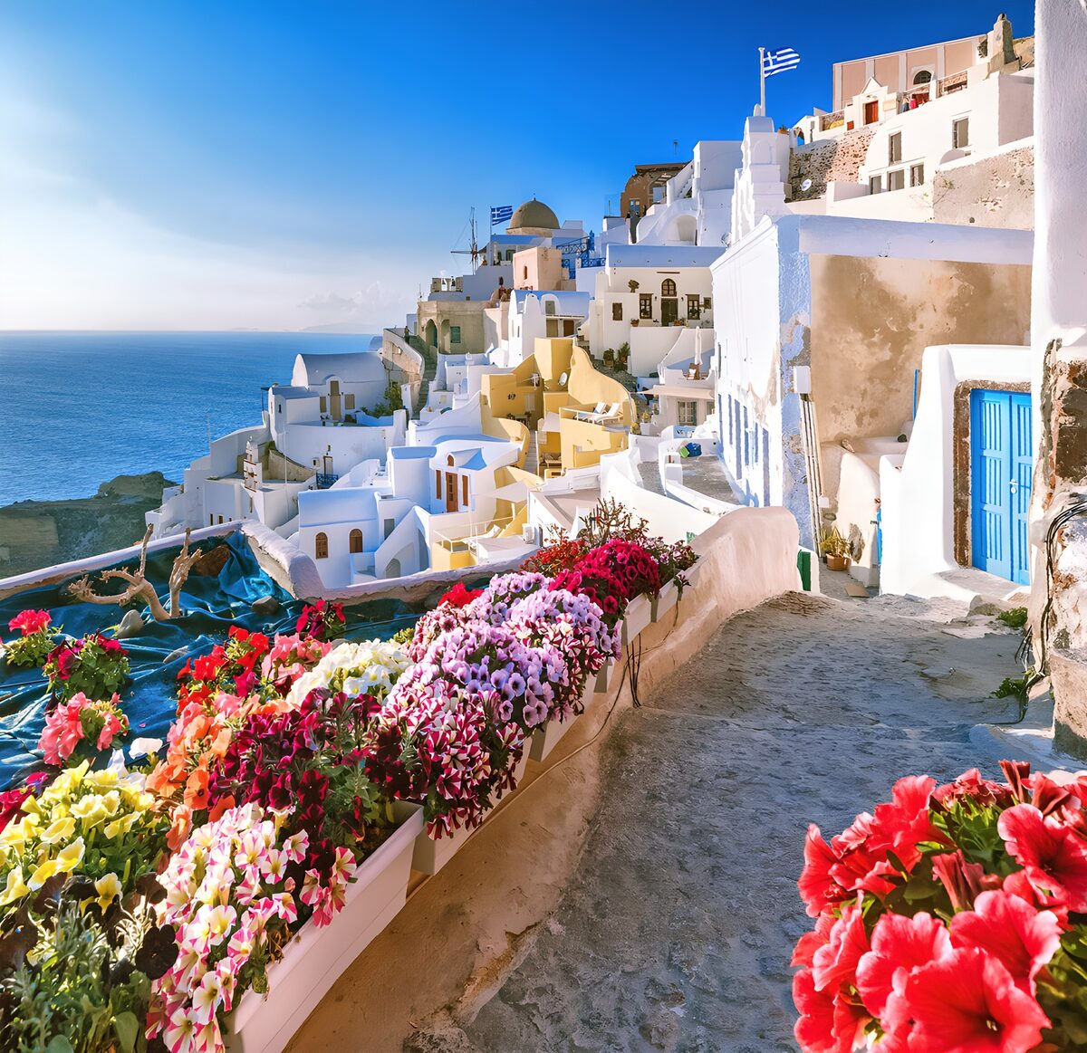 Flowers and whitewashed walls in the sun