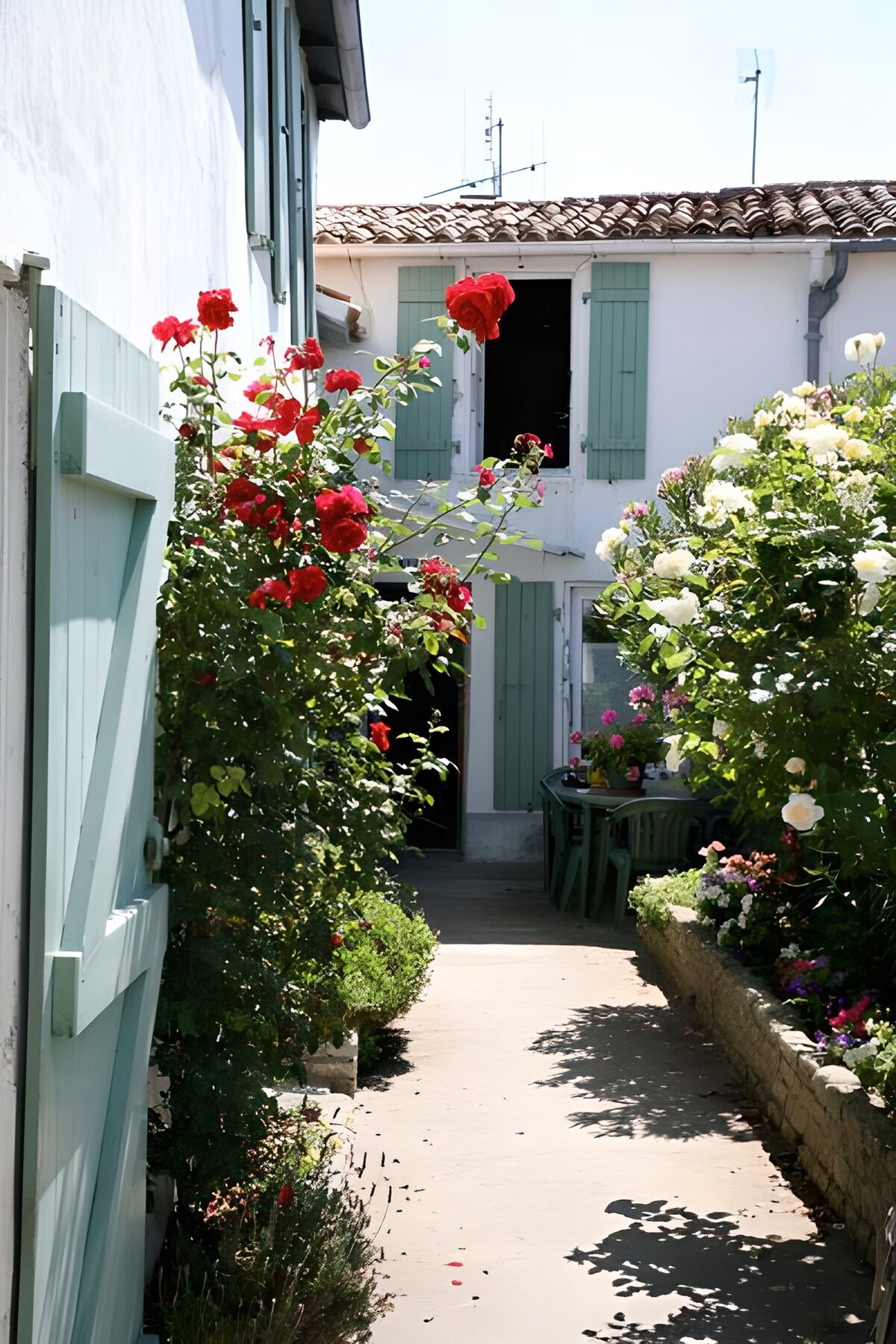 Sunlit courtyard with roses and shutters