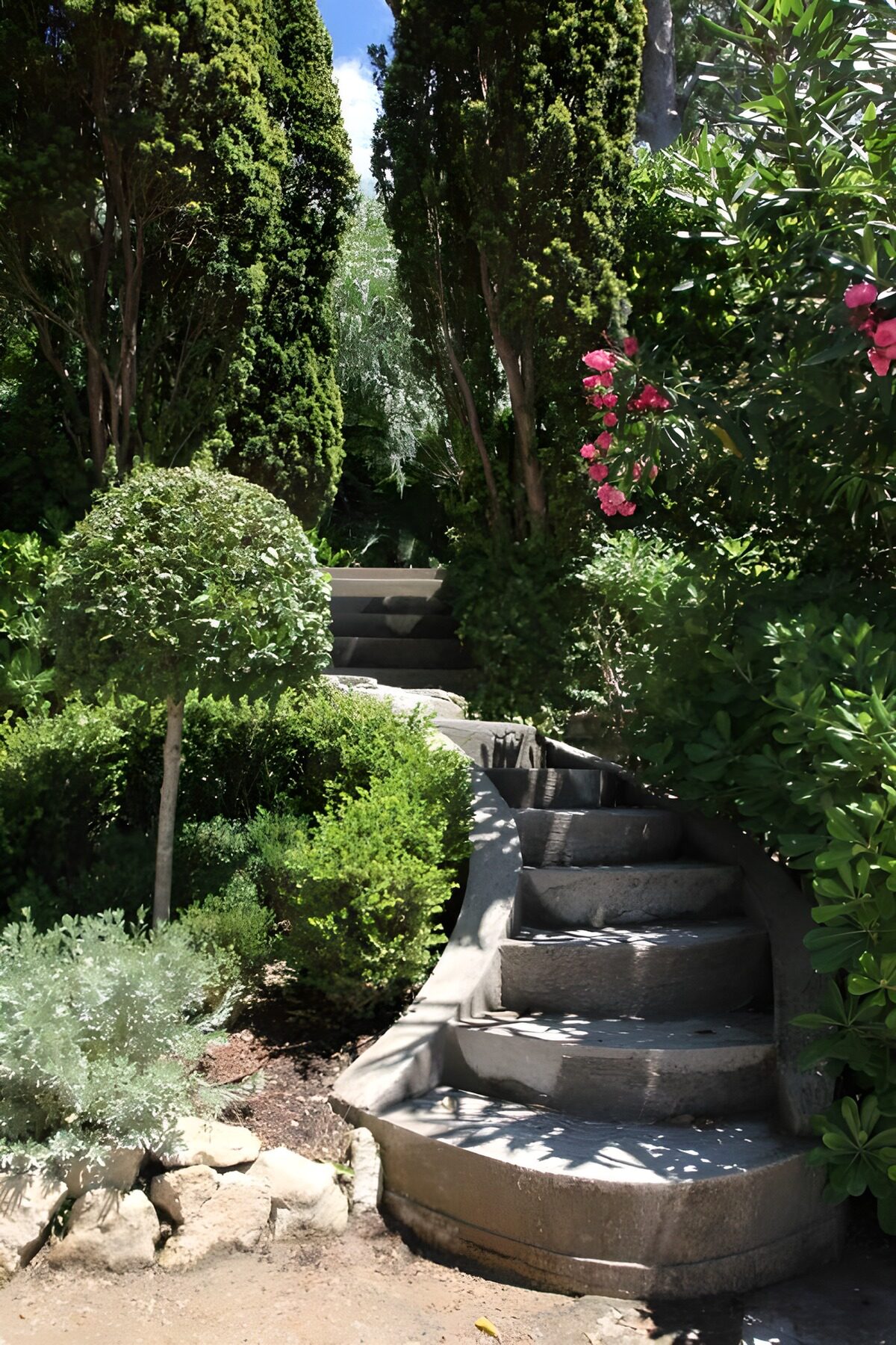 Sunlit stone steps through lush planting