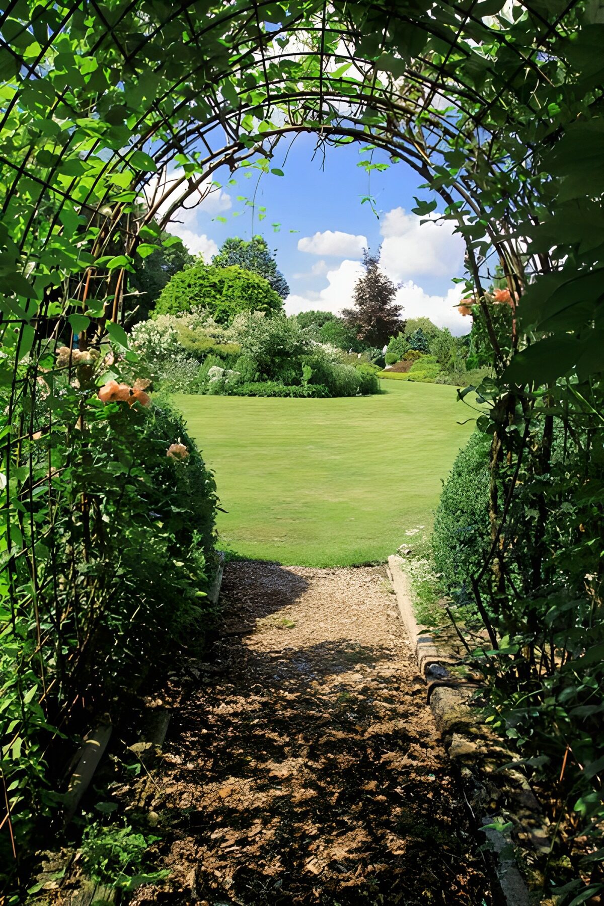 Leafy garden arch and sunlit lawn