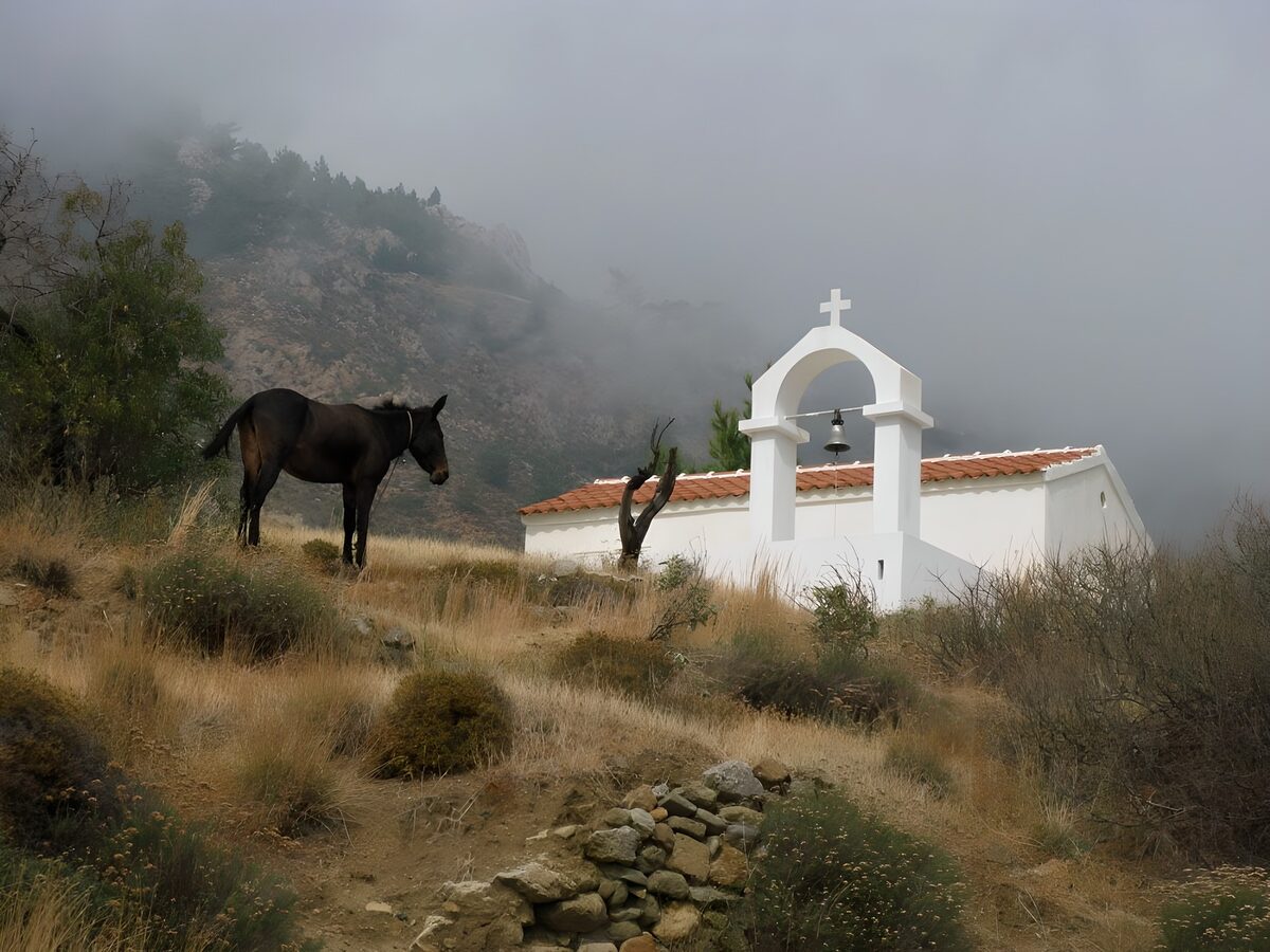 White chapel with a long-eared visitor